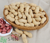 花生發(fā)芽能吃嗎?花生發(fā)芽有毒嗎 花生發(fā)芽能吃嗎?花生發(fā)芽有毒嗎