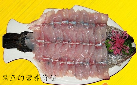 黑魚(yú)是海魚(yú)還是淡水 黑魚(yú)是入侵物種嗎
