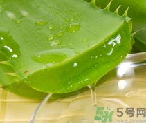 如何在家自制補水面膜？自制的面膜好用嗎？