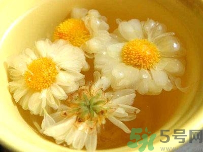 女生可以喝什么茶排毒養(yǎng)顏？女生喝什么茶可以美容？