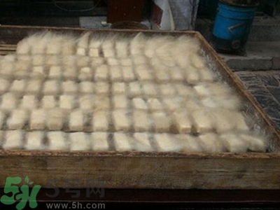 豆腐長(zhǎng)毛了還能吃嗎?豆腐長(zhǎng)毛了怎么辦 豆腐長(zhǎng)毛了還能吃嗎?豆腐長(zhǎng)毛了怎么辦