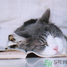 如何控油？如何控油祛痘？