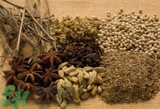 16歲女生很矮還能長高嗎？16歲女生很矮怎么辦？