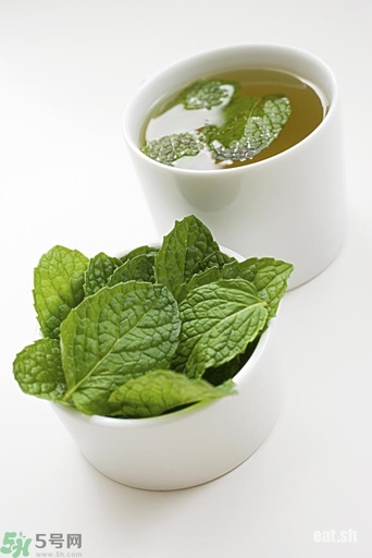 薄荷能美白嗎？薄荷有什么功效和作用？