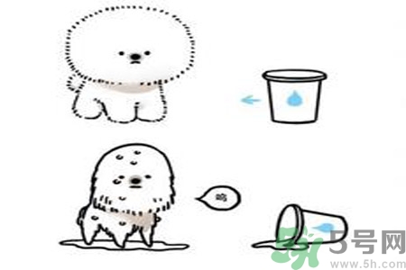 虛胖是什么意思？虛胖是胖嗎？