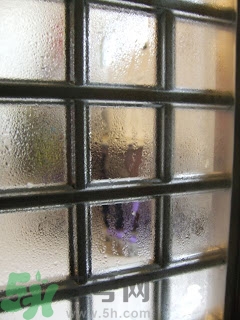 房間潮濕怎么辦？房間潮濕如何解決？