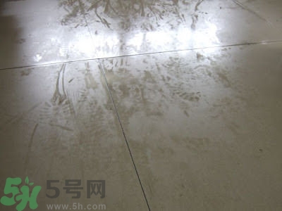 房間潮濕怎么辦？房間潮濕如何解決？