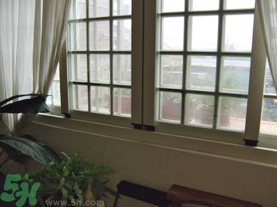 房間潮濕怎么辦？房間潮濕如何解決？