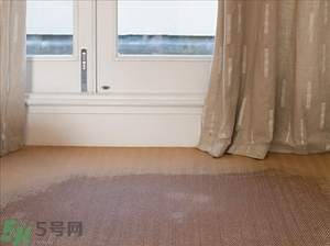 房間潮濕怎么辦？房間潮濕如何解決？