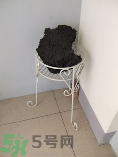 房間潮濕怎么辦？房間潮濕如何解決？