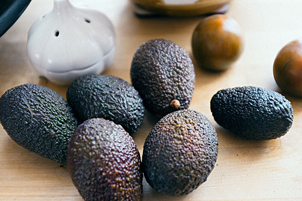 牛油果樹幾年能結(jié)出果？牛油果樹幾年長果子？