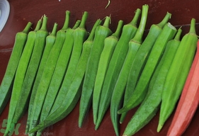 子宮肌瘤可以吃秋葵嗎？子宮肌瘤吃秋葵會(huì)惡化嗎？