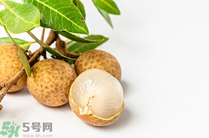 桂圓可以泡酒嗎？桂圓的功效與作用