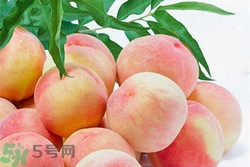 吃水蜜桃可以減肥嗎?水蜜桃減肥方法有哪些 吃水蜜桃可以減肥嗎?水蜜桃減肥方法有哪些