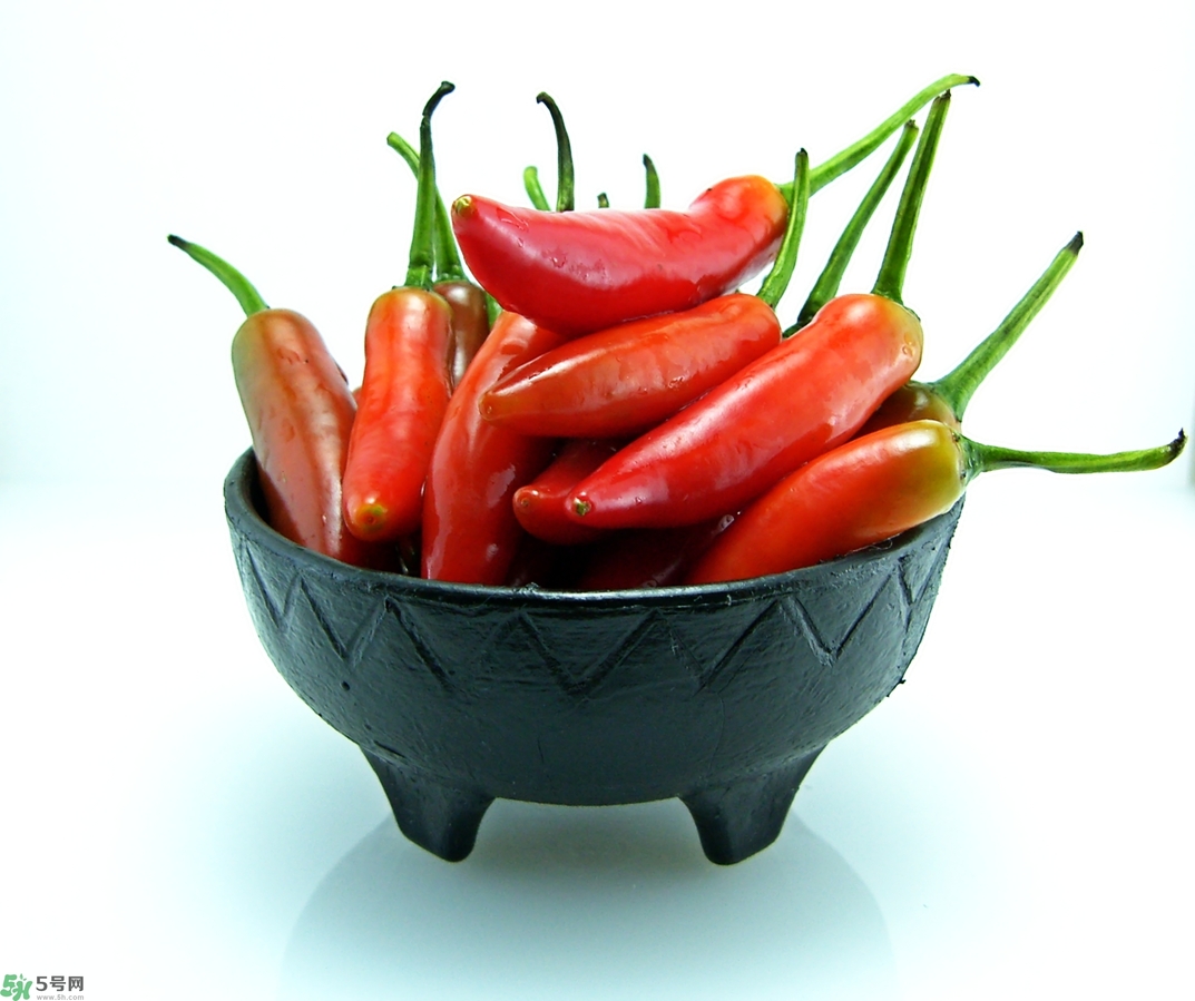 三伏天吃什么最好？三伏天適合吃什么？