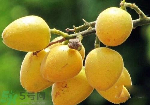 黃皮果的皮可以吃嗎？黃皮果的皮有什么作用