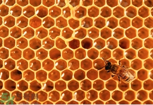 蜂蜜放久了有酒味是怎么回事？蜂蜜有酒味還能喝嗎？