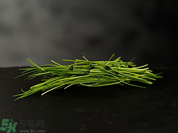 吃韭菜會(huì)燒心嗎？吃韭菜燒心怎么辦？