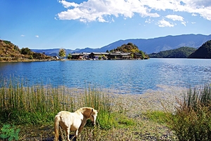 放暑假去哪里玩好？暑假去哪里玩比較涼快？