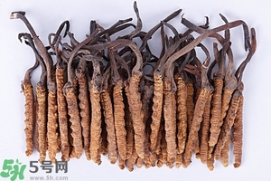 冬蟲夏草是怎么形成的？冬蟲夏草是蟲子嗎？