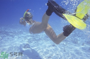 浮潛是什么意思？深潛和浮潛有什么區(qū)別？?