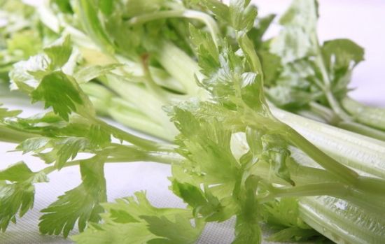 芹菜葉子能吃嗎?芹菜葉子的營養(yǎng)價值 芹菜葉子能吃嗎?芹菜葉子的營養(yǎng)價值