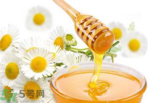 什么蜂蜜才是好蜂蜜？好壞蜂蜜的鑒別