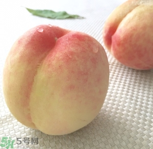 水蜜桃可以泡酒嗎?水蜜桃泡酒的功效有哪些 水蜜桃可以泡酒嗎?水蜜桃泡酒的功效有哪些