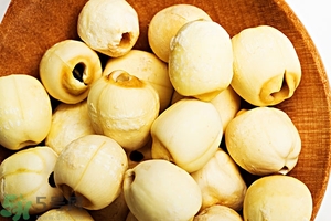 蓮子是涼性還是熱性？蓮子是酸性還是堿性？