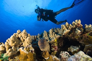 深潛危險么？深潛注意事項有哪些？