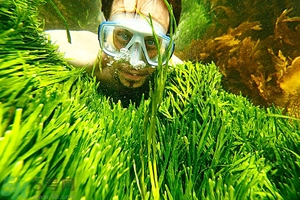 深潛危險么？深潛注意事項有哪些？