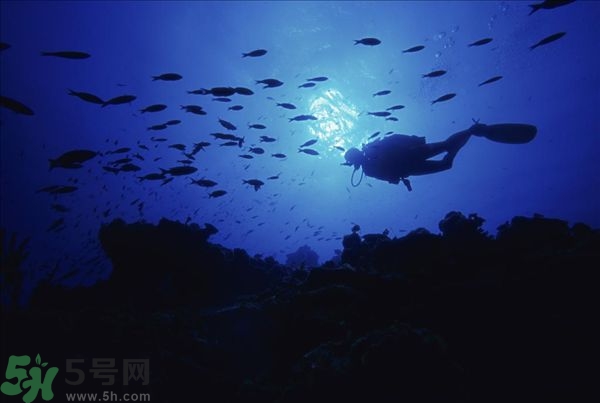 深潛危險么？深潛注意事項有哪些？