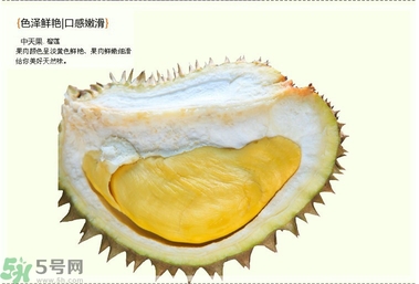 榴蓮可以空腹吃嗎?榴蓮空腹吃好嗎 榴蓮可以空腹吃嗎?榴蓮空腹吃好嗎