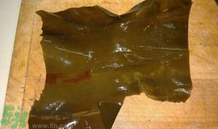 海帶上有黑點能吃嗎?海帶上有黑點可以吃嗎?
