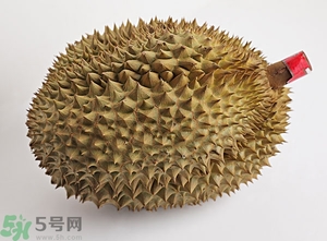 榴蓮沒開口可以吃嗎？榴蓮沒裂開能吃嗎？