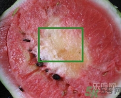 如何辨別催熟的西瓜？催熟的西瓜是什么樣的？