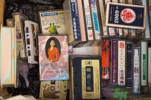 家里有跳蚤怎么快速去除？屋里有跳蚤怎么消滅掉？