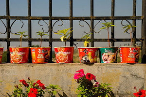 吃方便面會發(fā)胖嗎？吃方便面有什么壞處？