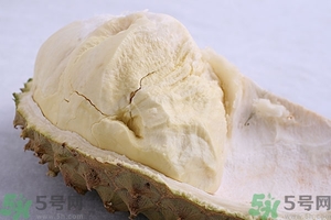 榴蓮能放冰箱嗎？榴蓮放在冰箱能保存幾天？