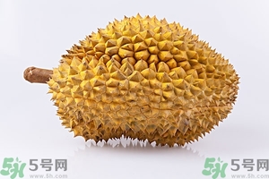 榴蓮能放冰箱嗎？榴蓮放在冰箱能保存幾天？