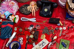 家里有跳蚤怎么快速去除？屋里有跳蚤怎么消滅掉？