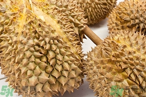 榴蓮能放冰箱嗎？榴蓮放在冰箱能保存幾天？