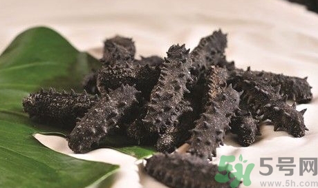 海參怎么保存和食用?干海參怎么保存? 海參怎么保存和食用?干海參怎么保存?