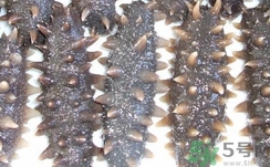 泡發(fā)好的海參怎么保存?發(fā)過的海參怎么保存? 泡發(fā)好的海參怎么保存?發(fā)過的海參怎么保存?