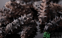 泡發(fā)好的海參怎么保存?發(fā)過的海參怎么保存? 泡發(fā)好的海參怎么保存?發(fā)過的海參怎么保存?