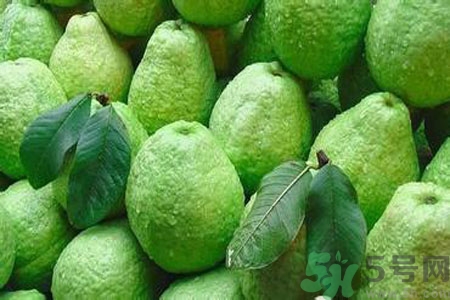 吃番石榴可以減肥嗎？怎么吃番石榴可以減肥？