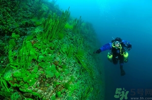 經(jīng)期可以潛水嗎？來(lái)例假可以潛水嗎？