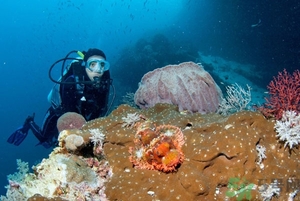 經期可以潛水嗎？來例假可以潛水嗎？