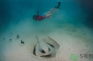 懷孕能浮潛嗎？什么人不適合潛水？