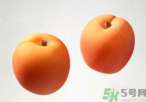 杏子是酸性還是堿性？杏子是酸性的嗎？